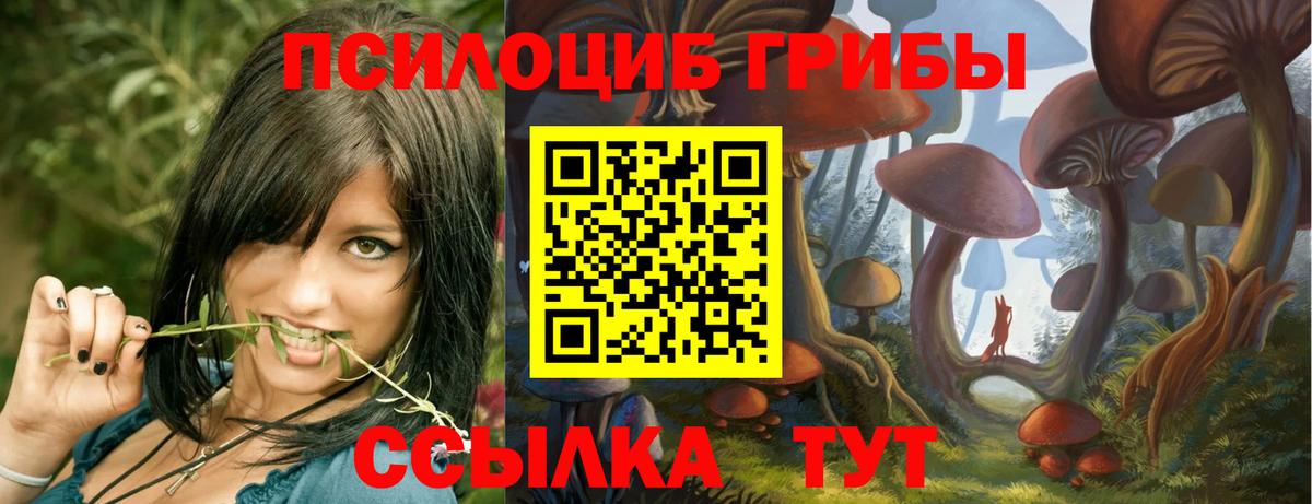 Феодосия  Галлюциногенные грибы Magic Shrooms  как найти   Вход с VPN 
