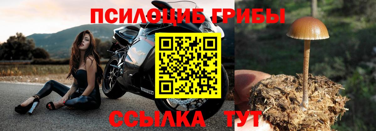 Псилоцибиновые грибы Magic Shrooms Феодосия